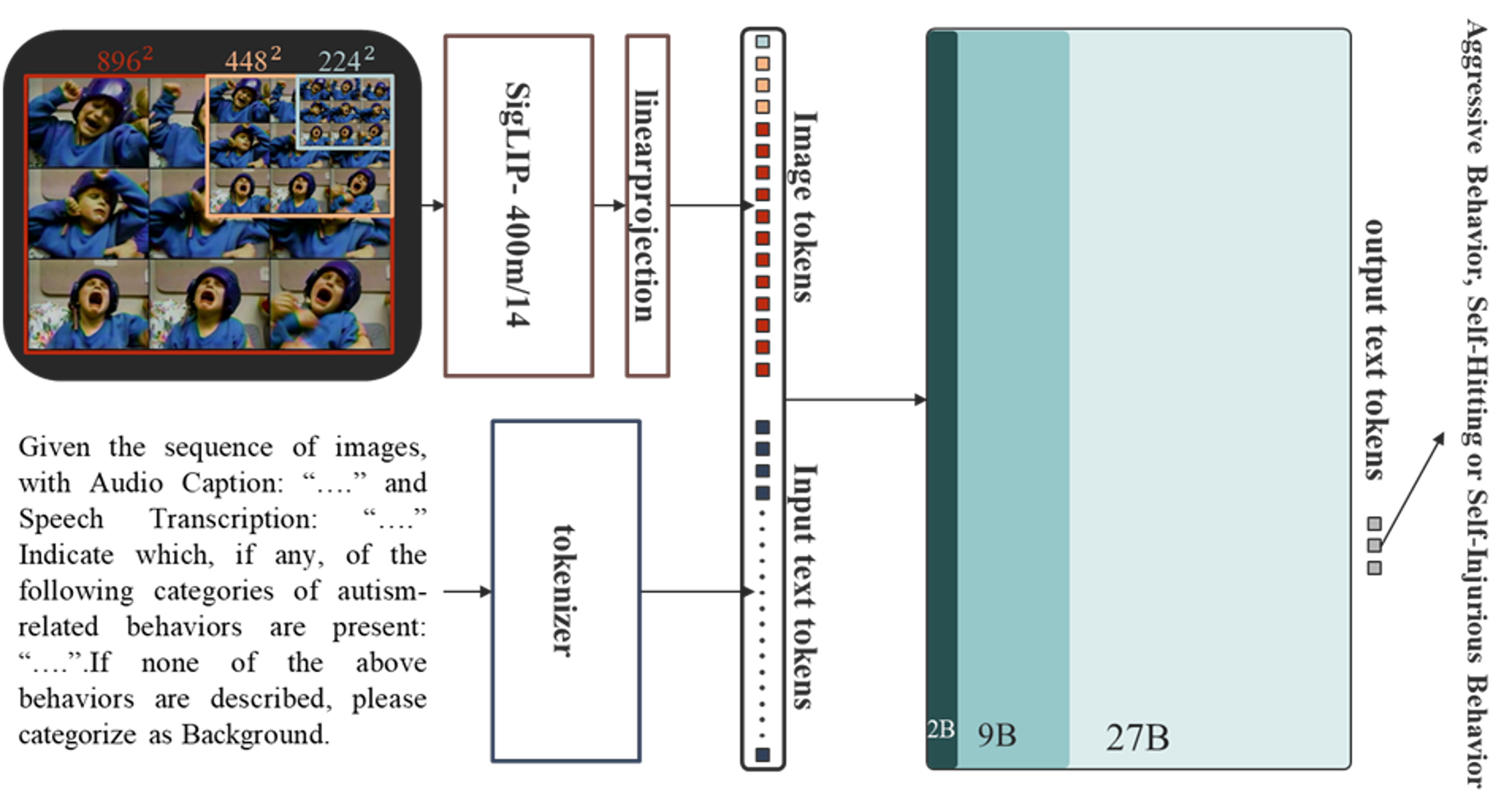 Audio-Visual Behavior Analysis results