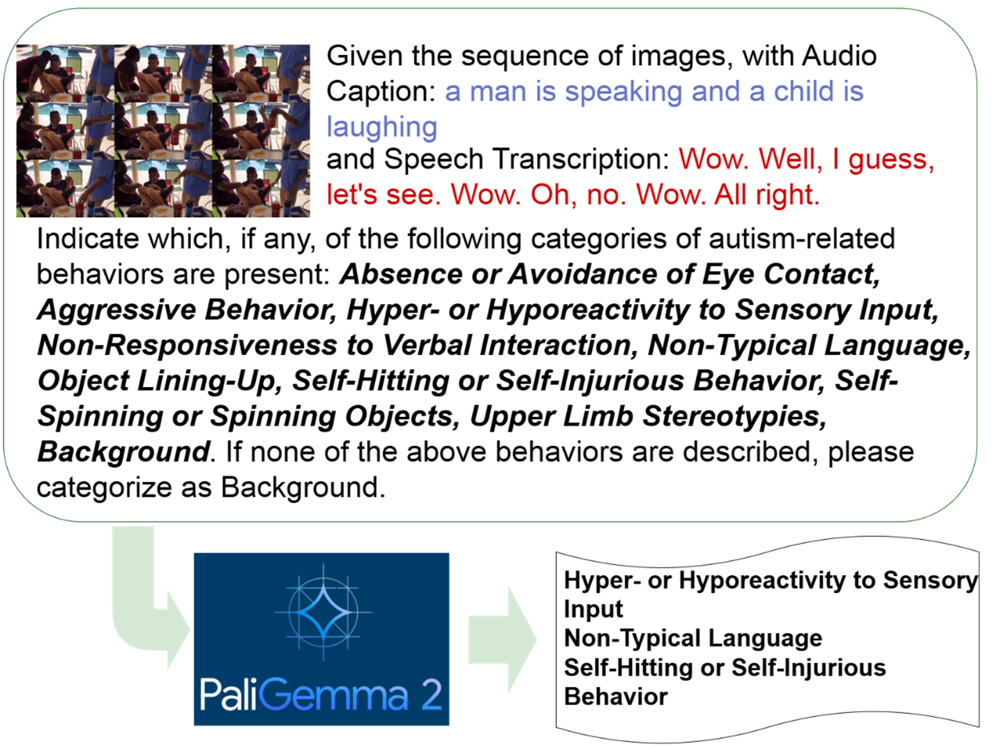 PaliGemma-2 architecture