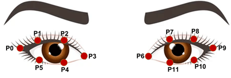 Eye Aspect Ratio (EAR) calculation