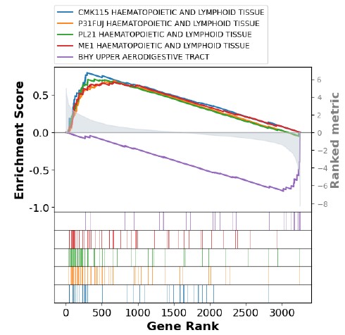 University of Alberta