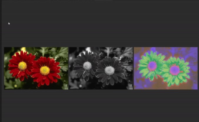 VisualMinds Screenshot 3